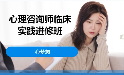 心理咨询师临床实践进修班